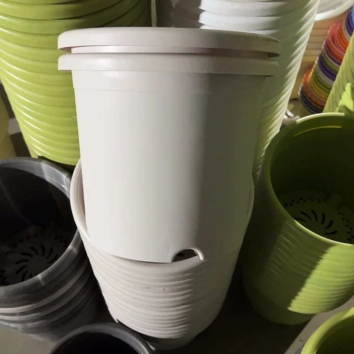 四季5#口径29灰白10个无托