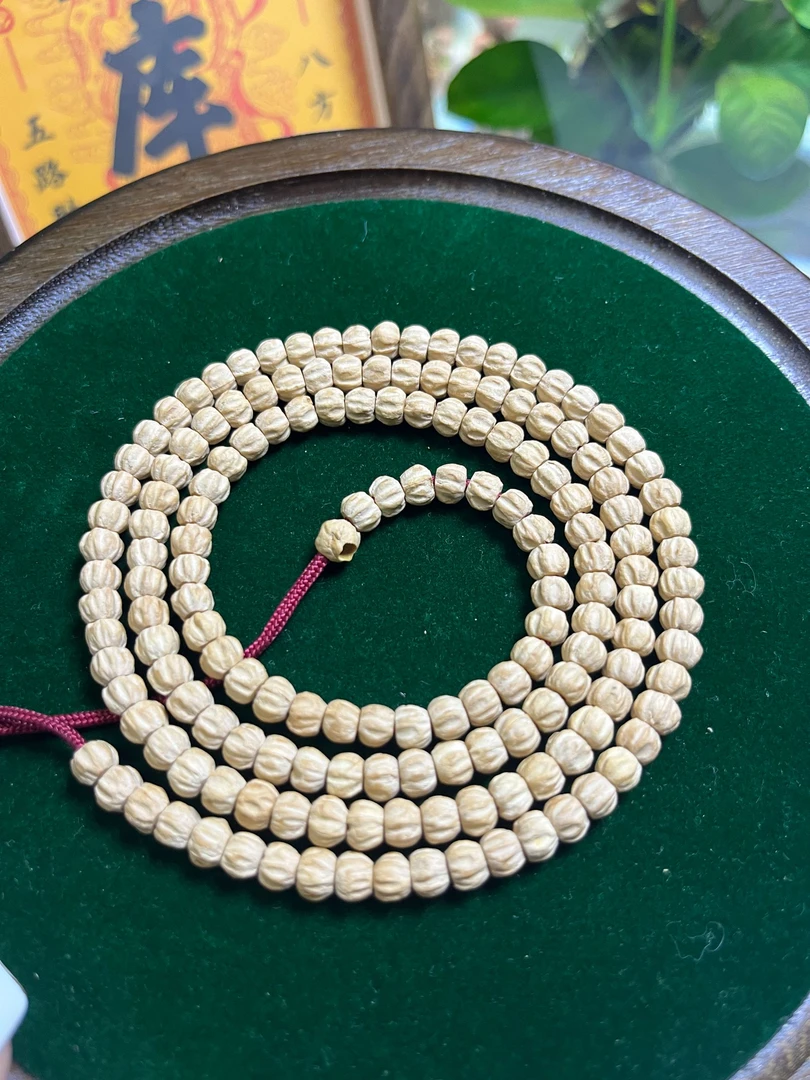 百香籽小金豆5.6尺寸毕业级