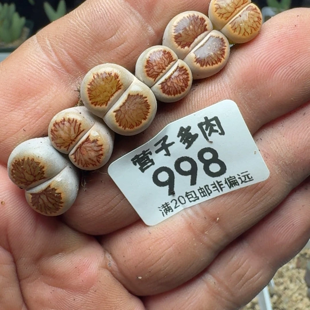 福利。