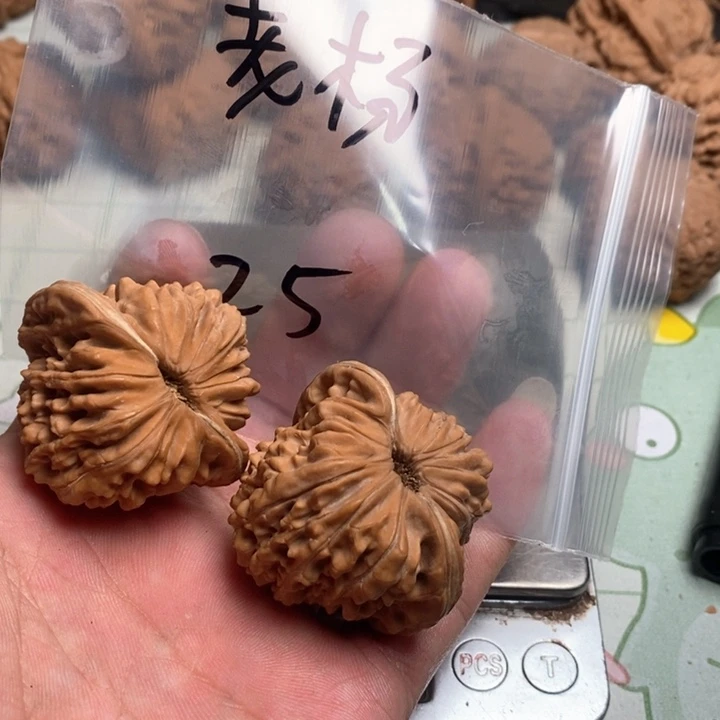 文玩核桃把件T**杨核桃