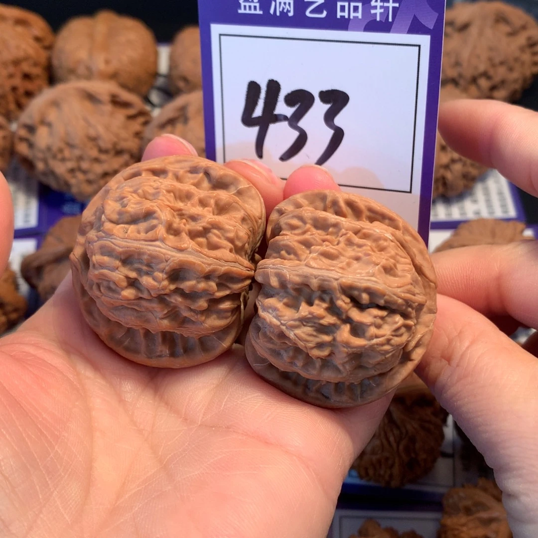 核桃433白狮子4.2全品