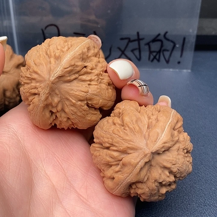 u***g霸王龙全品的无休