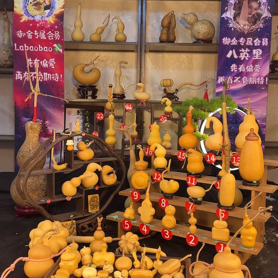 *****葫芦龟壳里了喇叭默默