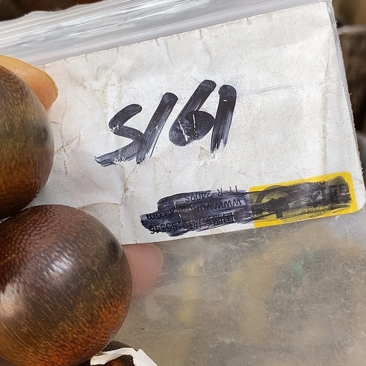 万***5德宝文玩专属链接