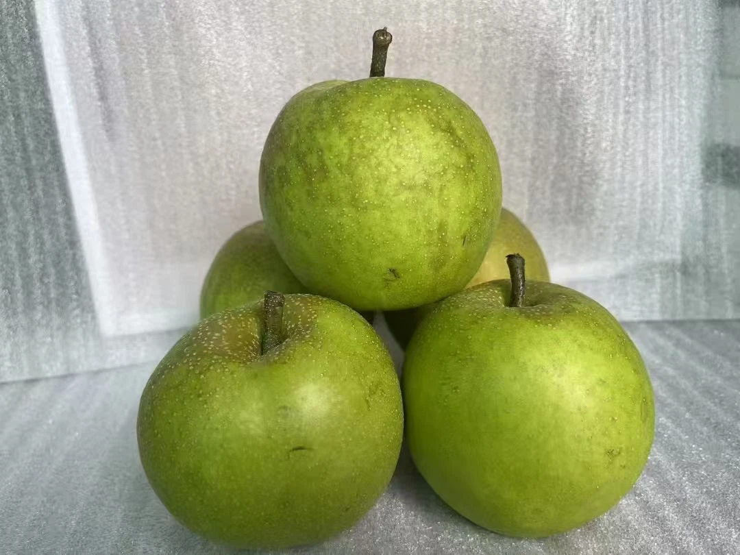 【四川苍溪翠冠梨】梨青皮脆甜爽口皮薄肉嫩翠冠新鲜现摘多汁