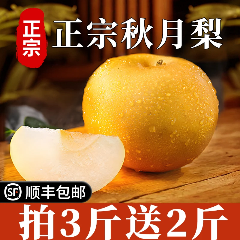 【顺丰包邮】正宗山东秋月梨现摘现发脆甜多汁当季新鲜水果
