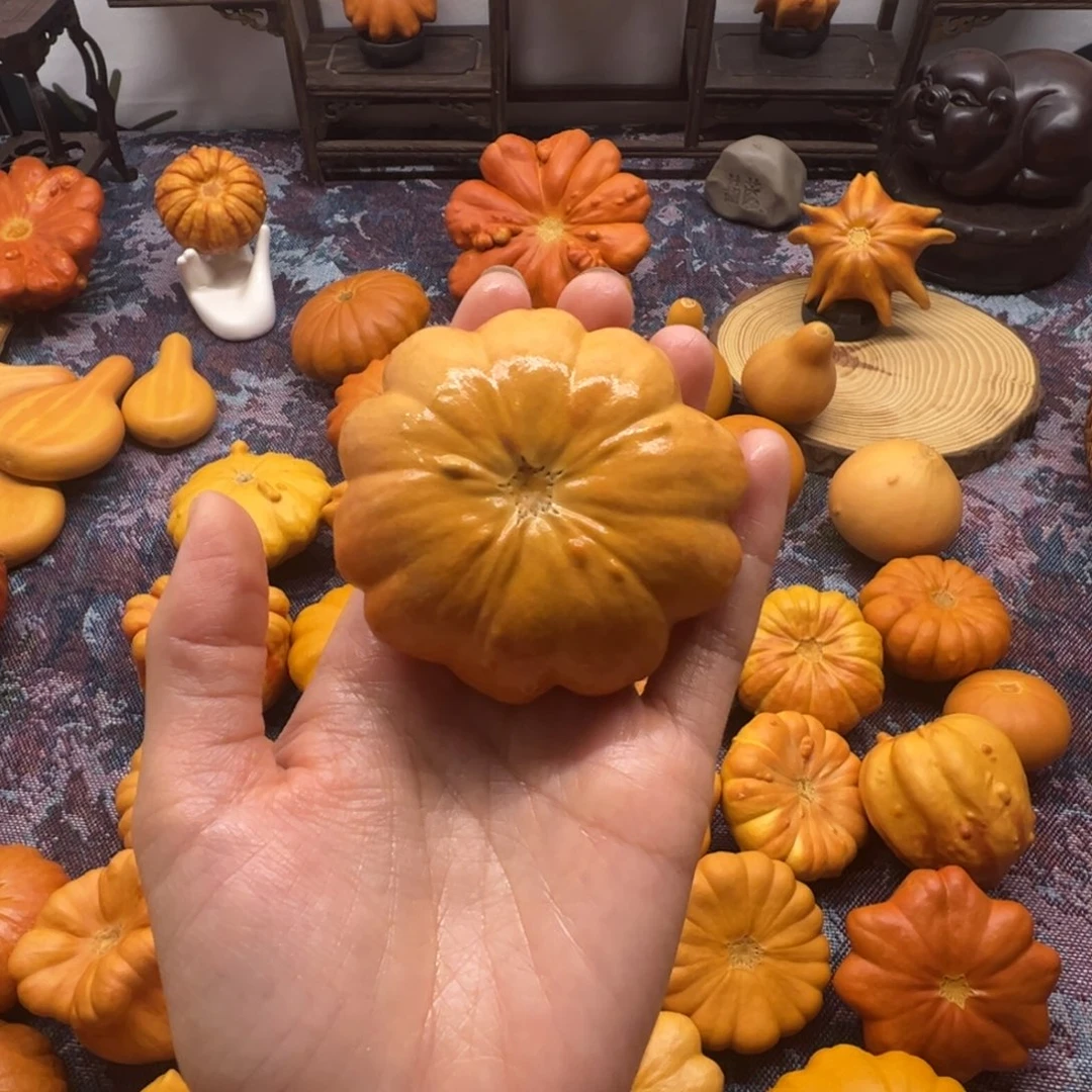 墨西哥葫芦蝴蝶花