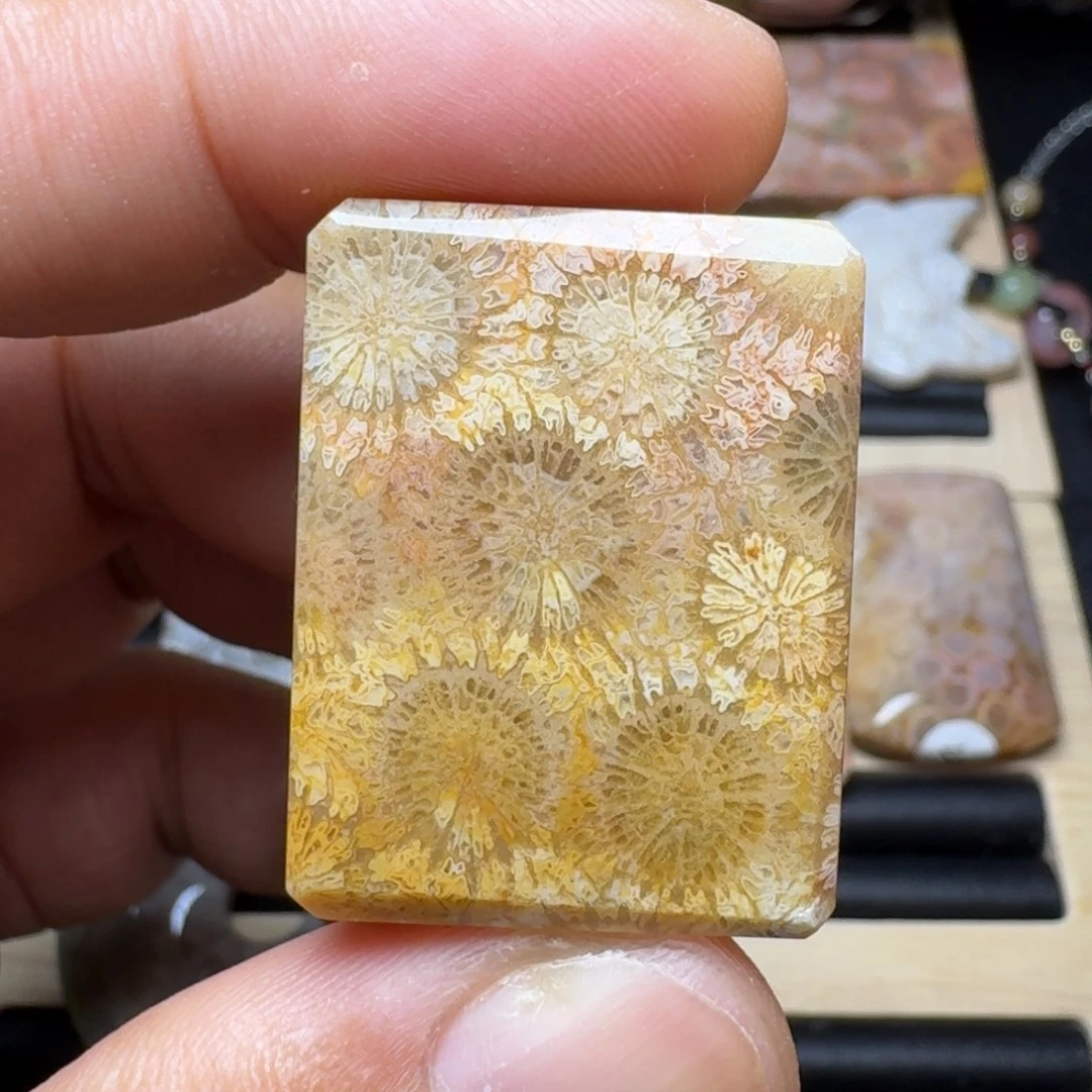 未镶嵌纯天然色有机玉石保真色硅化玉