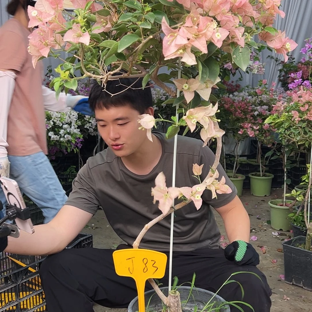 芳***草完全开放J83卡亚塔