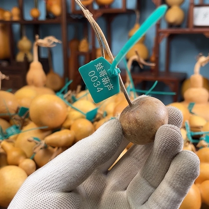 0034啊啊啊啊啊啊啊啊