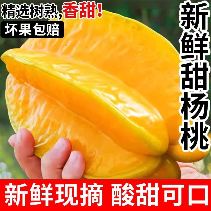 广东增城树熟杨桃自然成熟新鲜水果清甜多汁