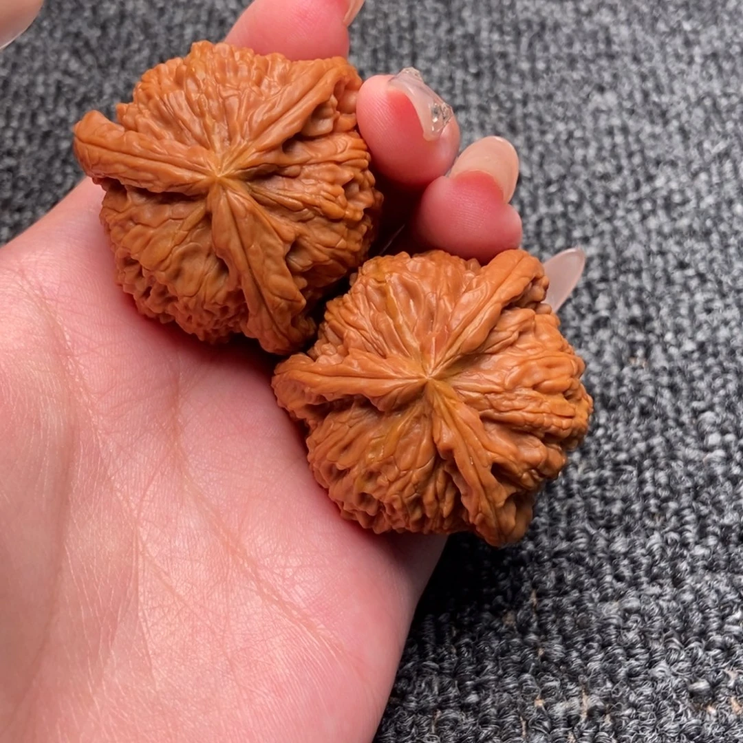 三***闪木质类白狮子正奔