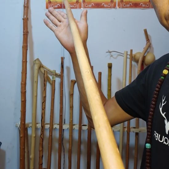 语***录秦岭石山红牛筋，红荀子原生态