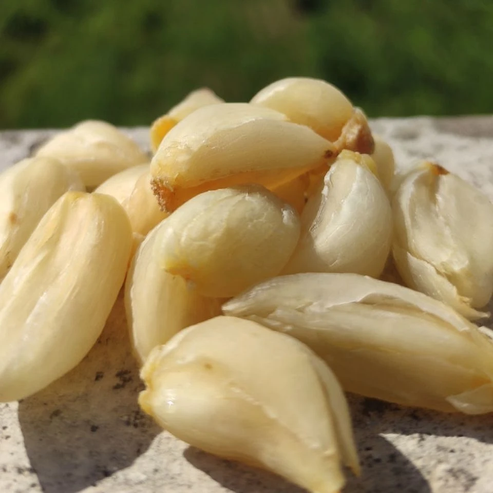 东北百合心干品250克