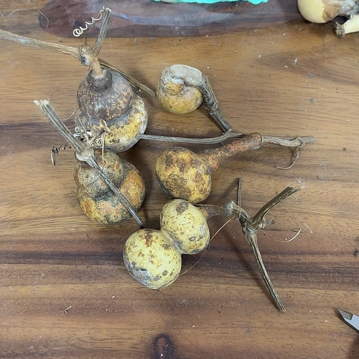 虾***勒jcjviviohohohobovovo