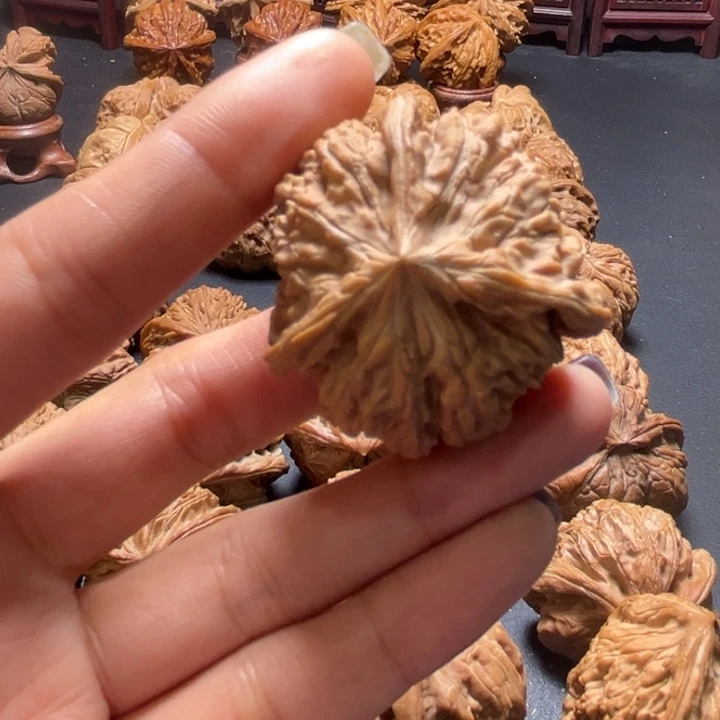 137三棱核桃哈哈哈哈哈哈哈哈