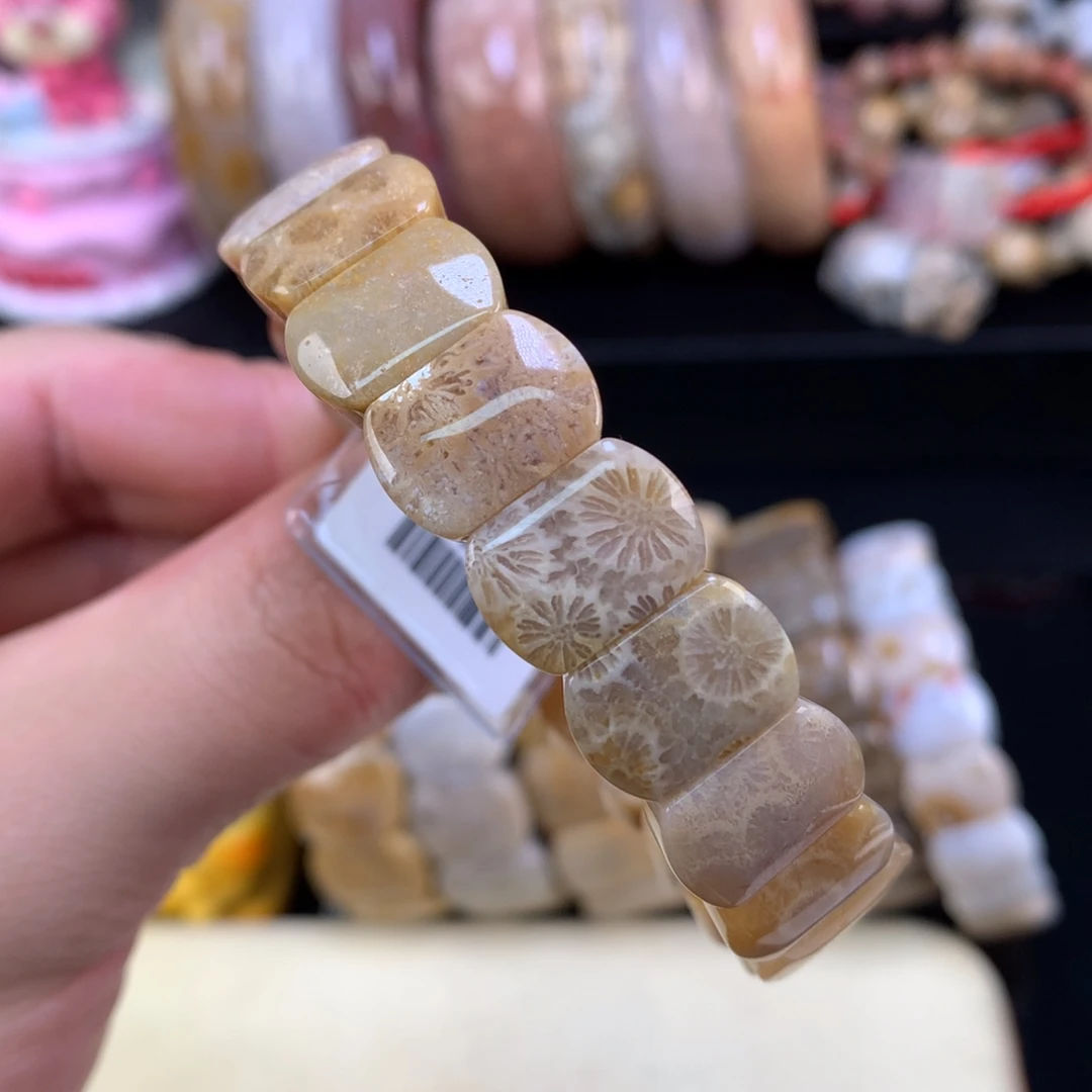 硅化珊瑚（珊瑚玉）未镶嵌颈饰7号mini版型