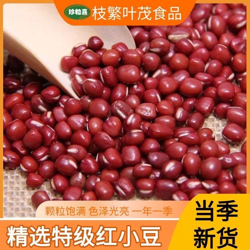 云南农家新红小豆原产地直发颗粒饱满农产品豆沙易出沙煮粥煲汤