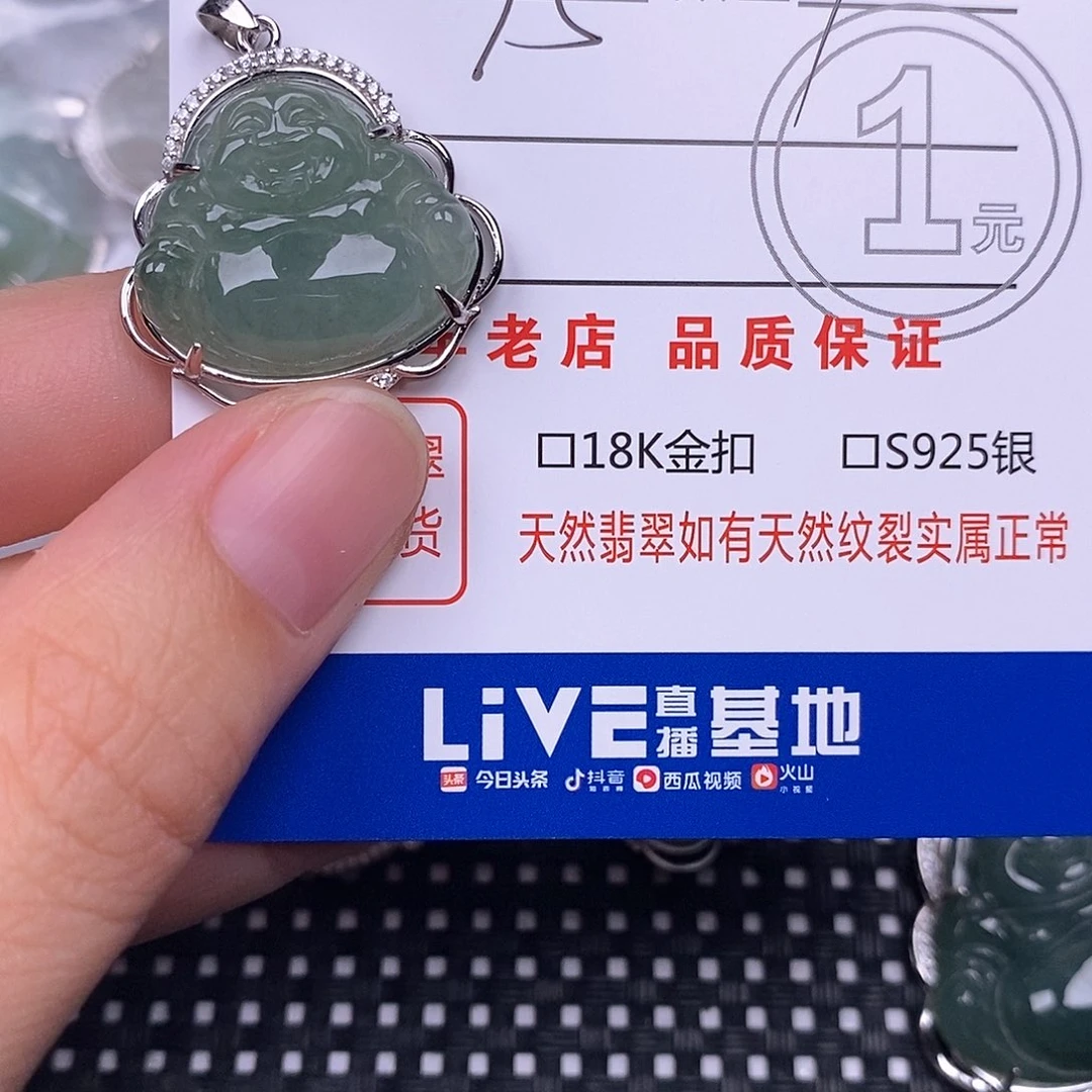 金***发翡翠银S925镶嵌颈饰