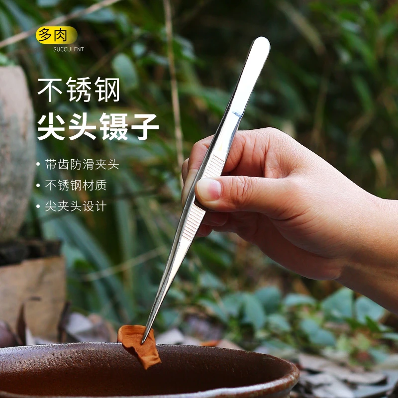 多肉镊子园艺工具种花不锈钢尖头枯叶种植植物微景观肉肉专用夹子