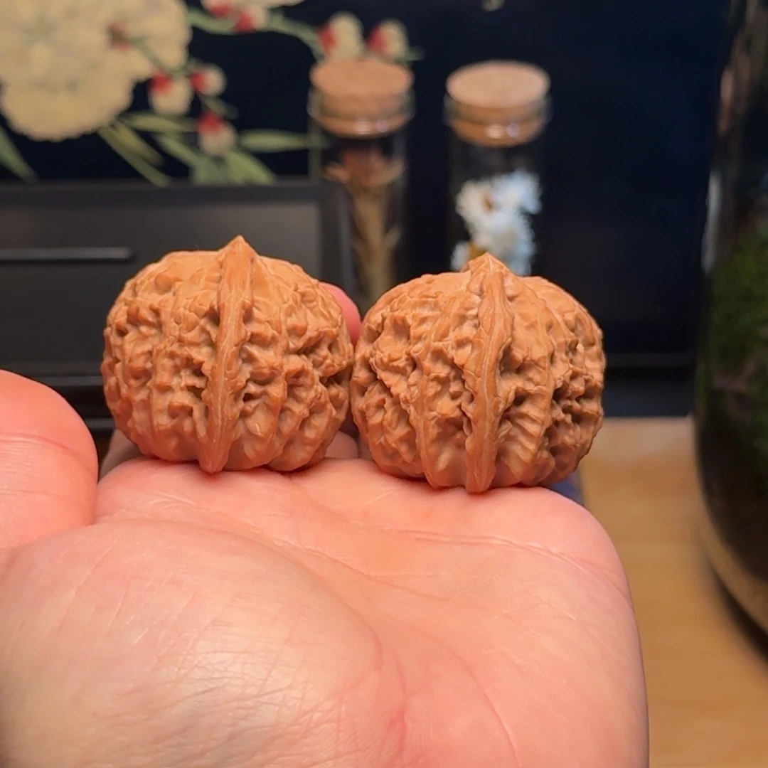 把件文玩核桃41白狮子