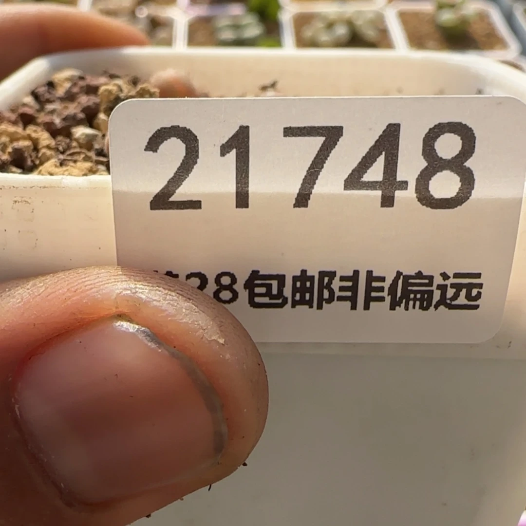 【闪购商品】へ****?21748