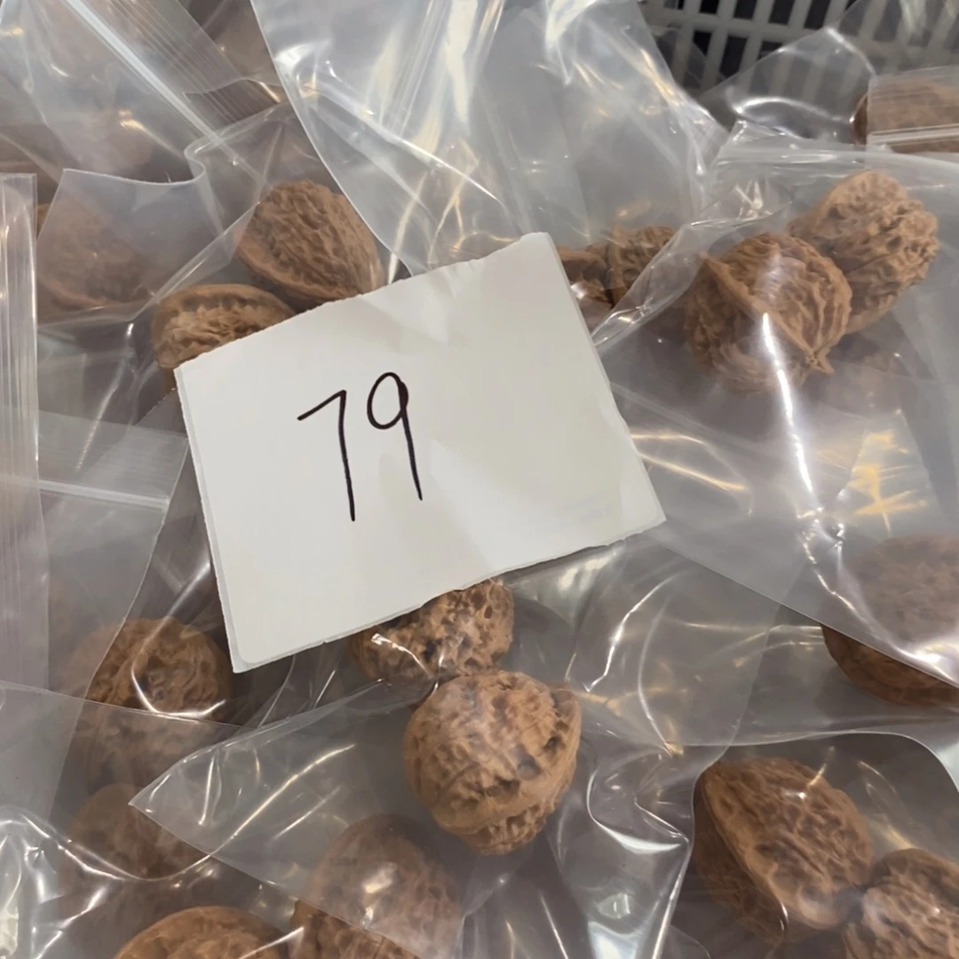 文玩核桃吊坠寿桃