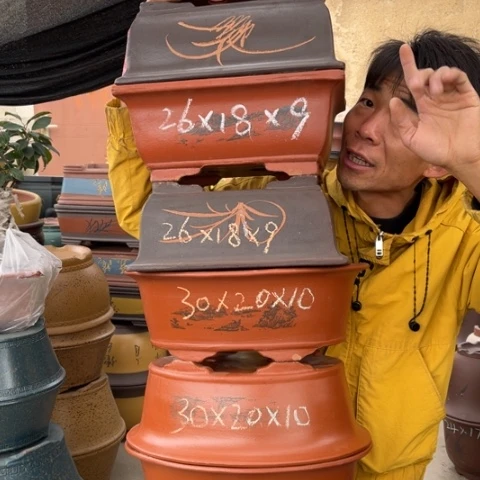 花盆紫砂特价姐姐的花店