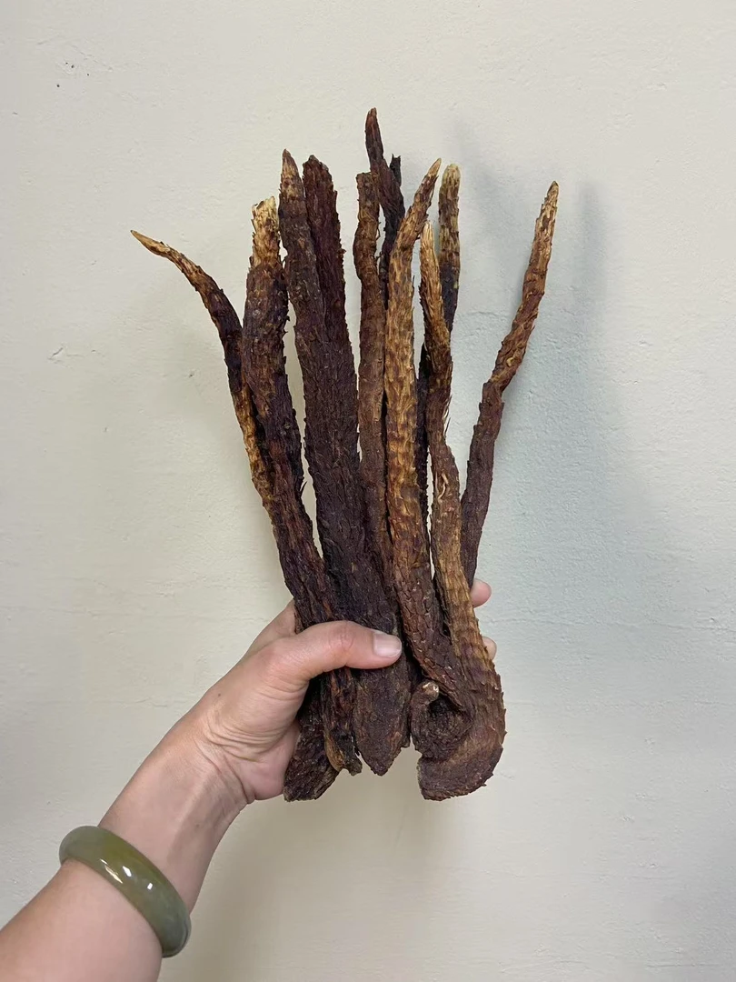 【小货150】500克 肉苁蓉 整条干货 内蒙古阿拉善特产