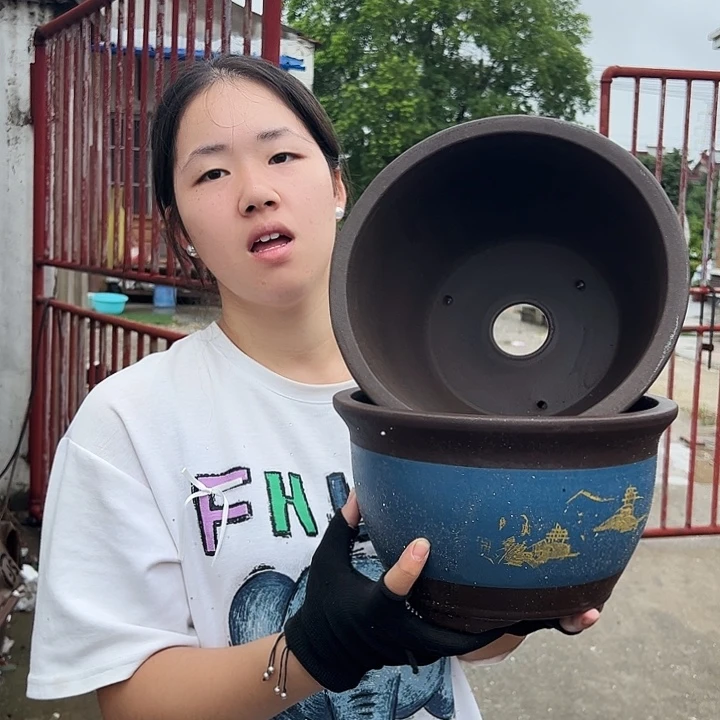 25+25蓝色花盆花盆花盆花盆