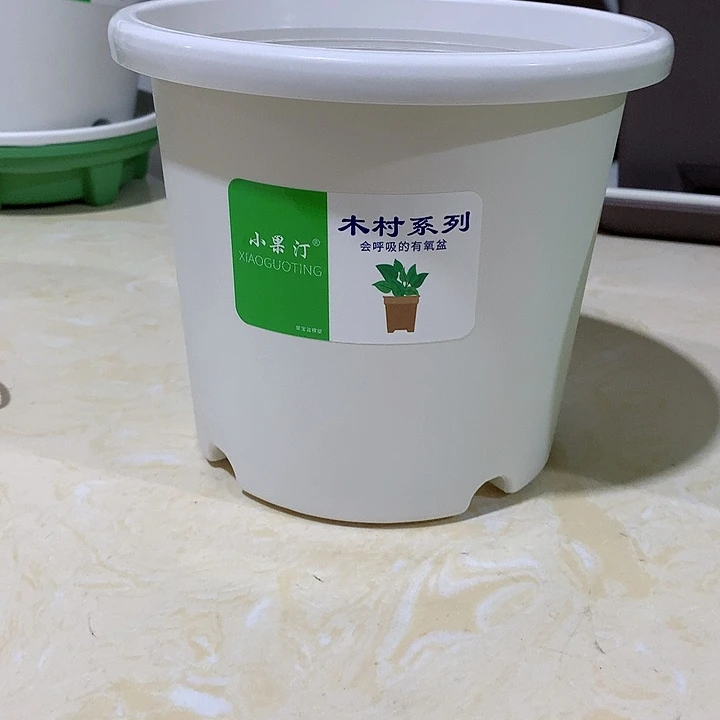 小果汀17白10个无托