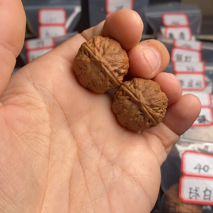 文玩核桃把件柯*?26野生小霸王龙