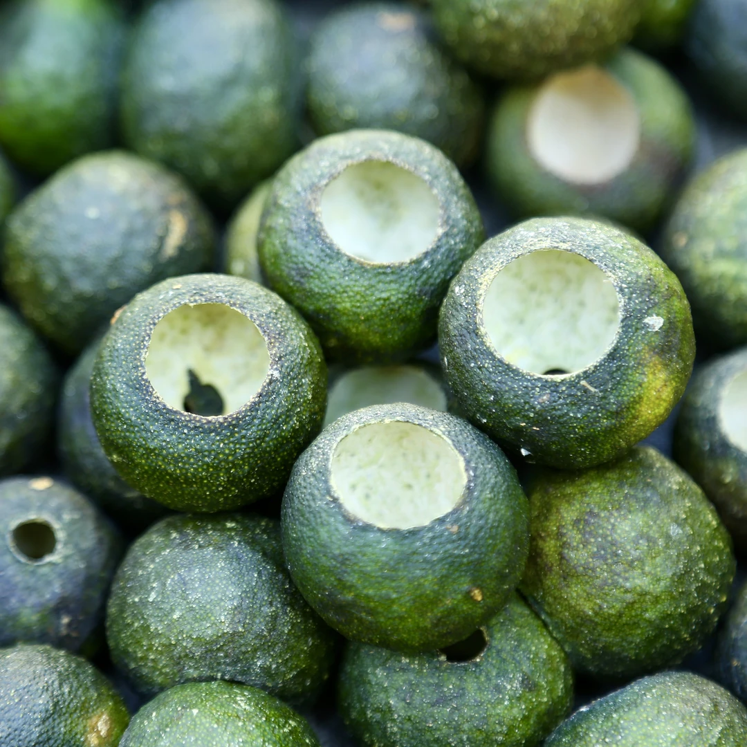 【2025天禄原枝小青柑果壳】新会陈皮自家果园自然生晒