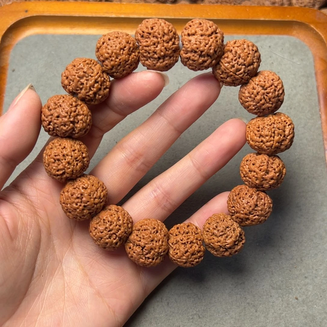 菩提1号金刚菩提菠萝蜜20