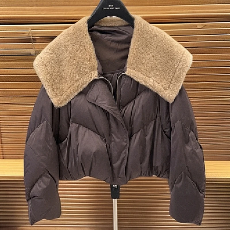 短款休闲时尚鹅绒服