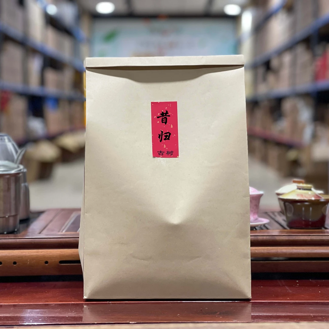 2023年 昔归 古树头春纯料 普洱生茶散料