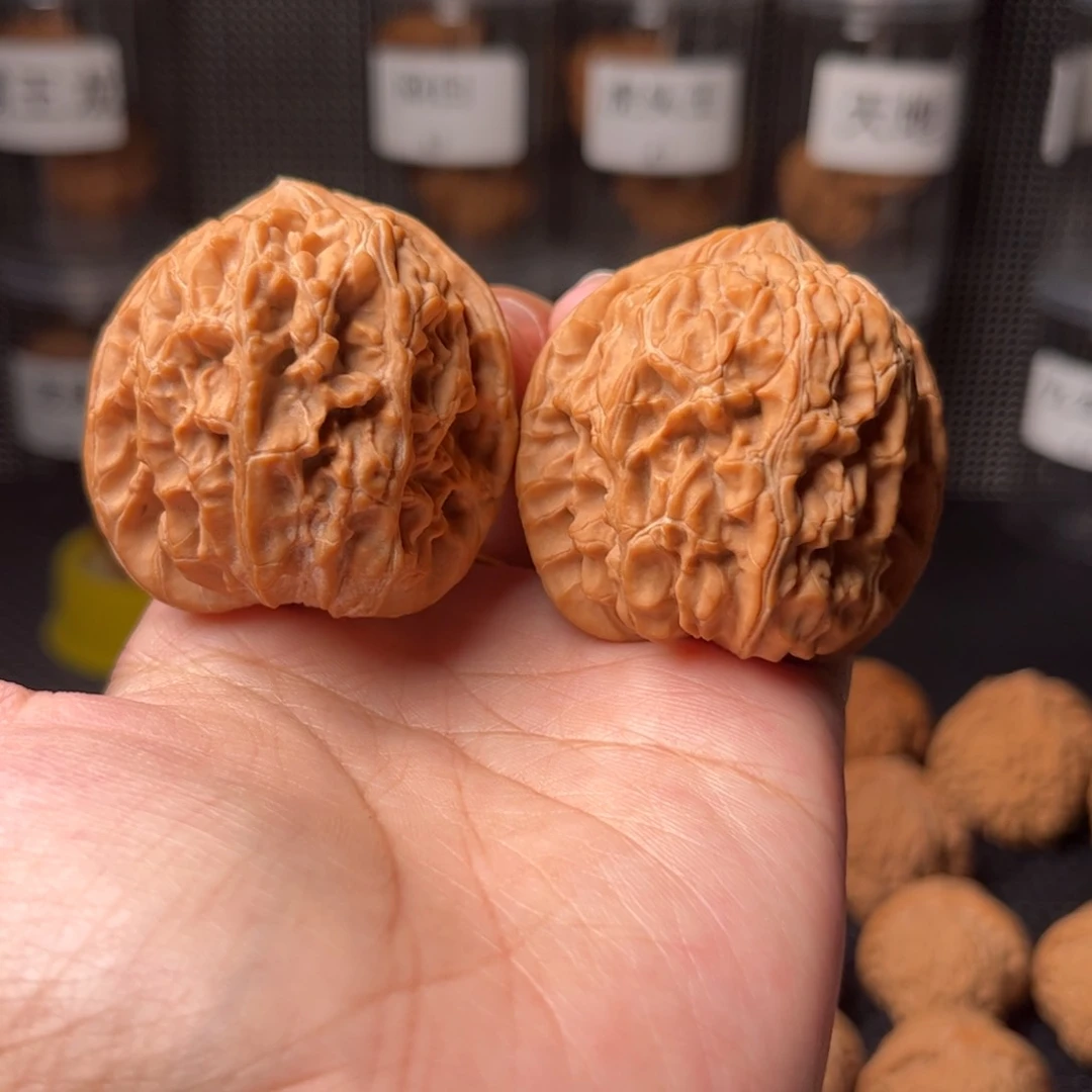 遣*芭蕉扇芭蕉扇芭蕉扇