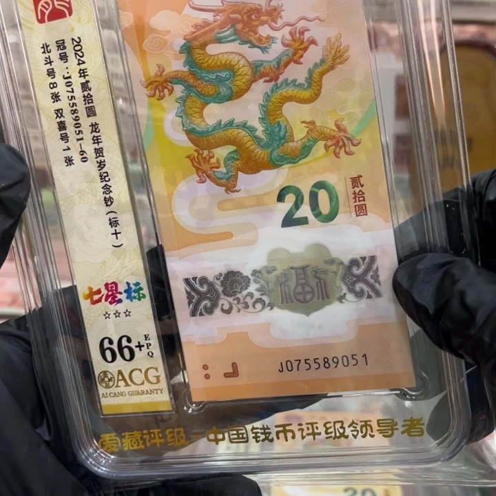 塑料66+龙钞大号飞马王标十075589051