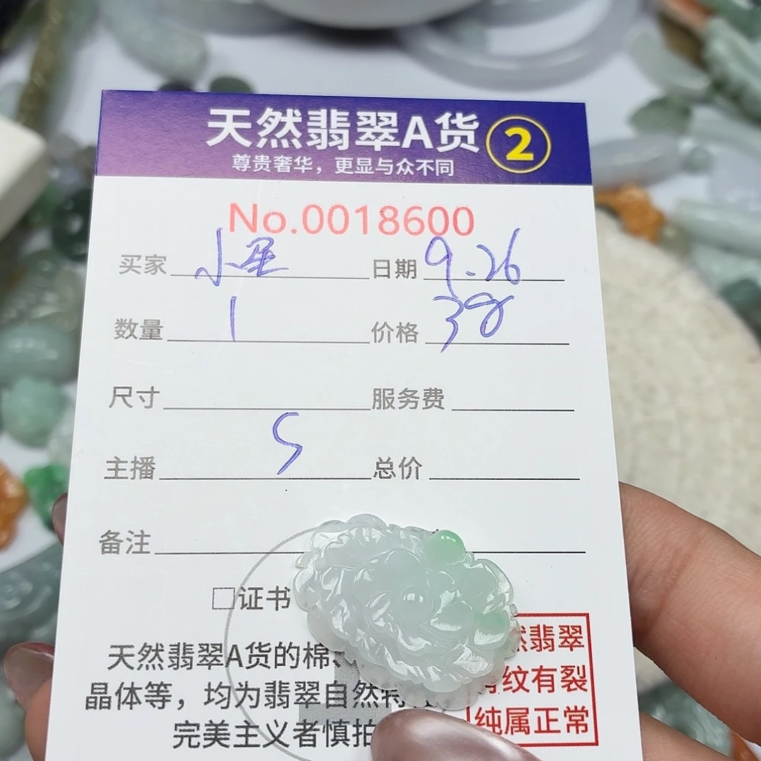 小***星翡翠未镶嵌颈饰We