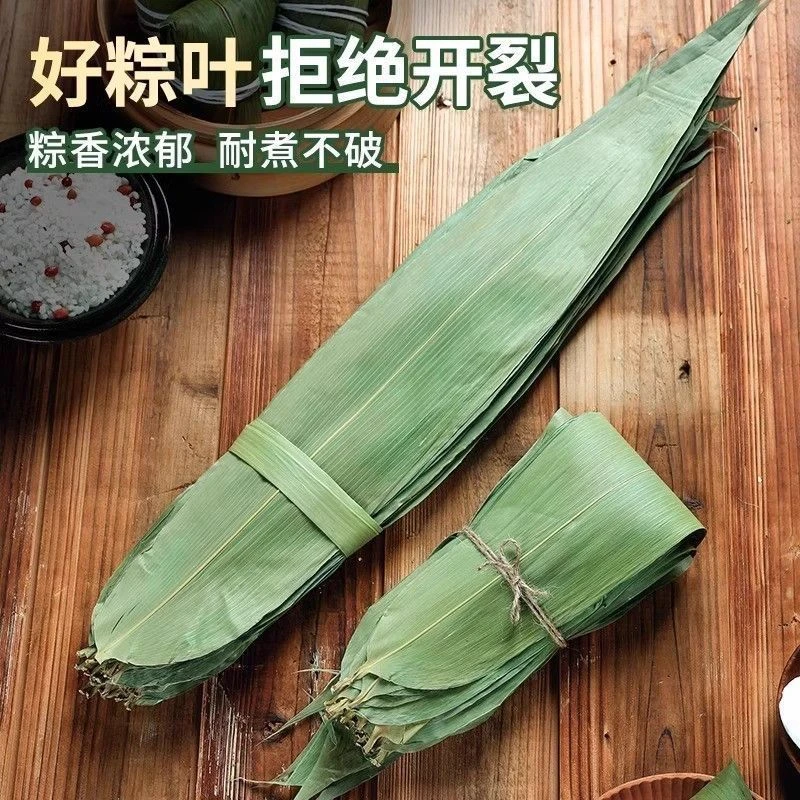 端午节天然大号干粽叶包粽子家庭装麻竹叶野生粽叶粽香浓郁