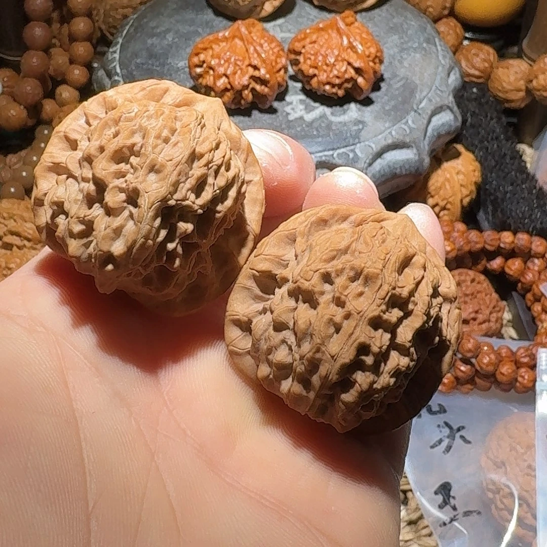 核桃38尺全品蓟县马老四