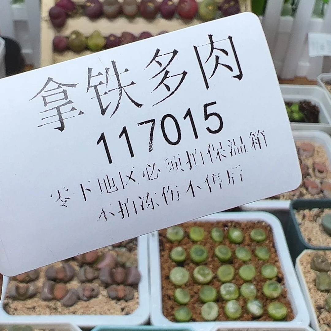 二**R117015…景景尾款结清