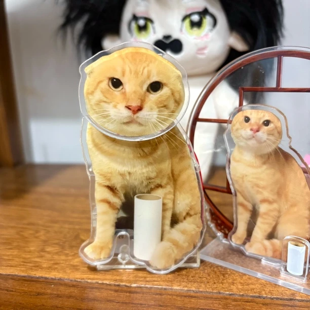 圆头耄耋双面亚克力摇摇乐立牌太阳能diy桌面装饰