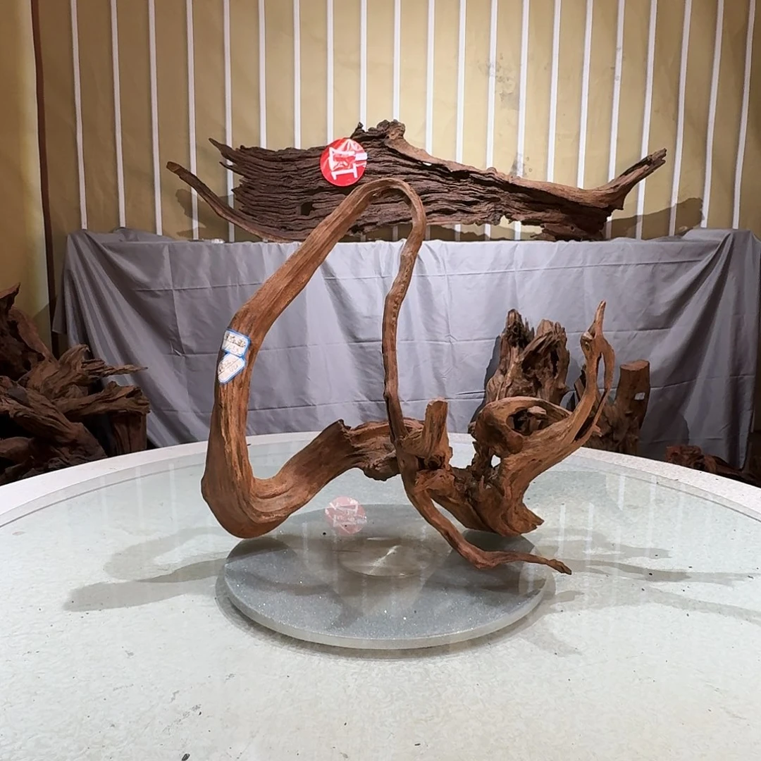 隆****香榧木一物一拍鱼缸造景