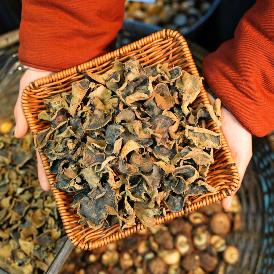 城口高山野生干木耳
