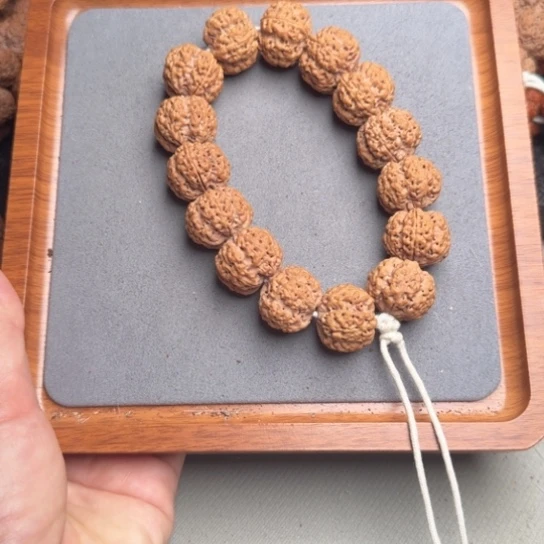 菩提9号尼泊尔大金刚22深沟梅花