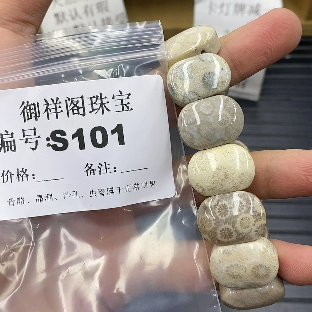 硅化珊瑚（珊瑚玉）未镶嵌颈饰