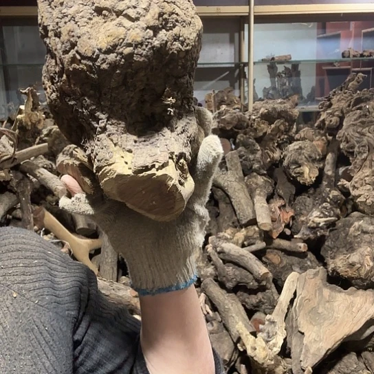 香榧木青**枫火琉璃的故事是maoliao