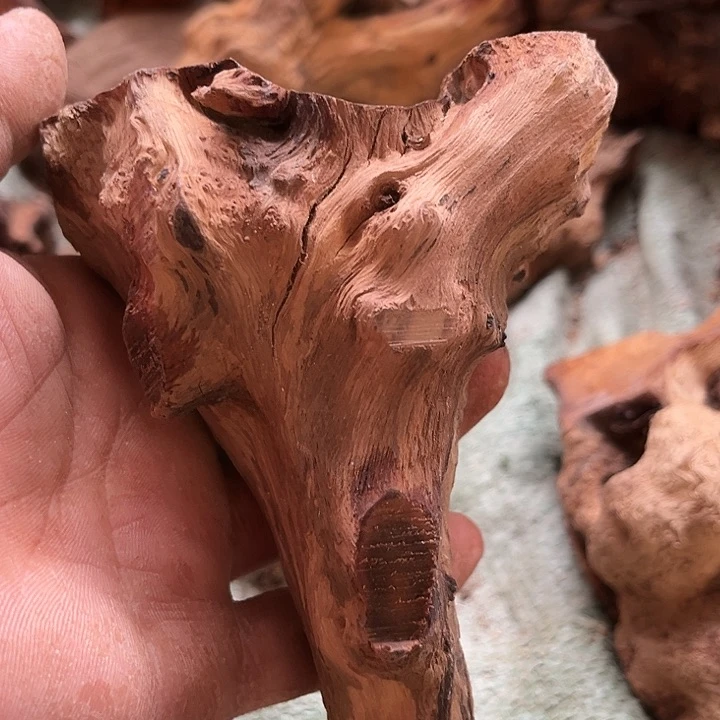 香榧木麻梨疙瘩汤等都