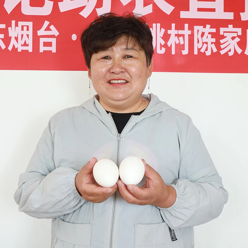 【王书记助农】农家自养鹅蛋
